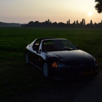 Del Sol in de sol